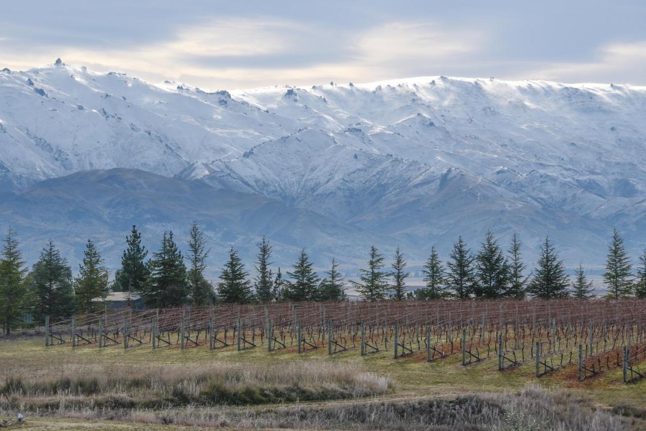 Grey Ridge Vineyard Experience Panzió Alexandra Kültér fotó